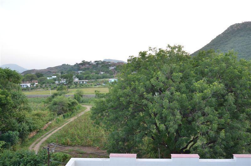 罗亚尔乡间别墅住宿加早餐旅馆 烏代浦 外观 照片